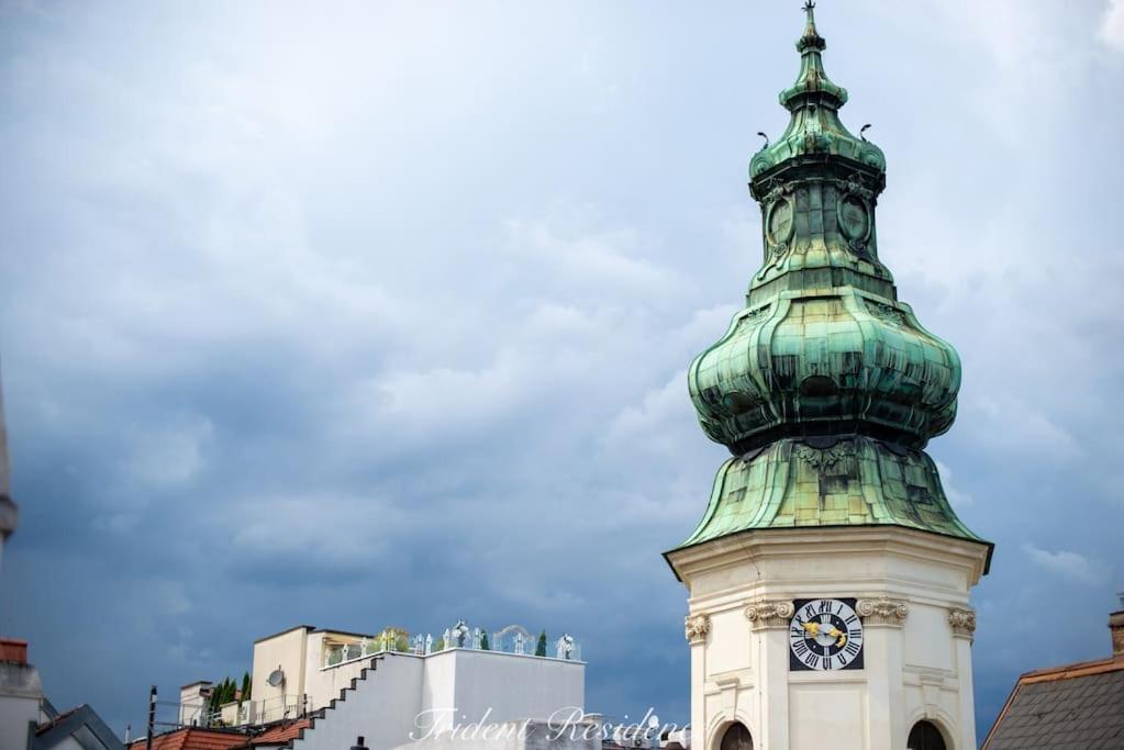 Zum Blauen Karpfen Apartment Viena Exterior foto