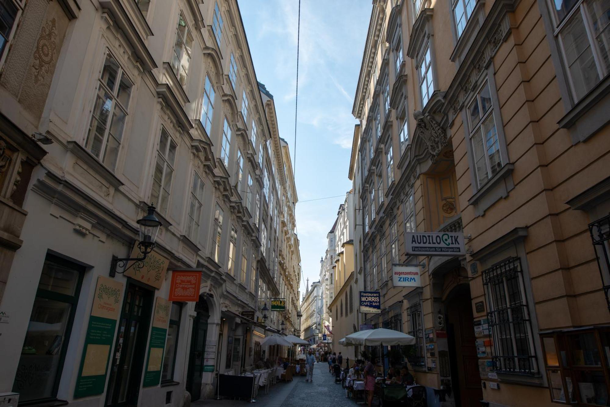 Zum Blauen Karpfen Apartment Viena Exterior foto