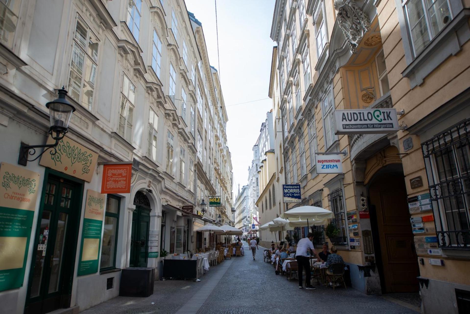 Zum Blauen Karpfen Apartment Viena Exterior foto